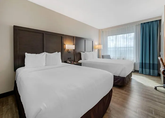 Comfort Inn & Suites Miami International Airport Miami Springs
