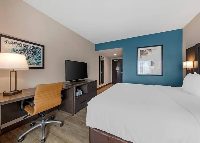 Comfort Inn & Suites Miami International Airport Miami Springs